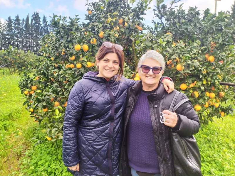 Bio-Zitronen aus dem Belíce-Tal, Sizilien (Italien)
