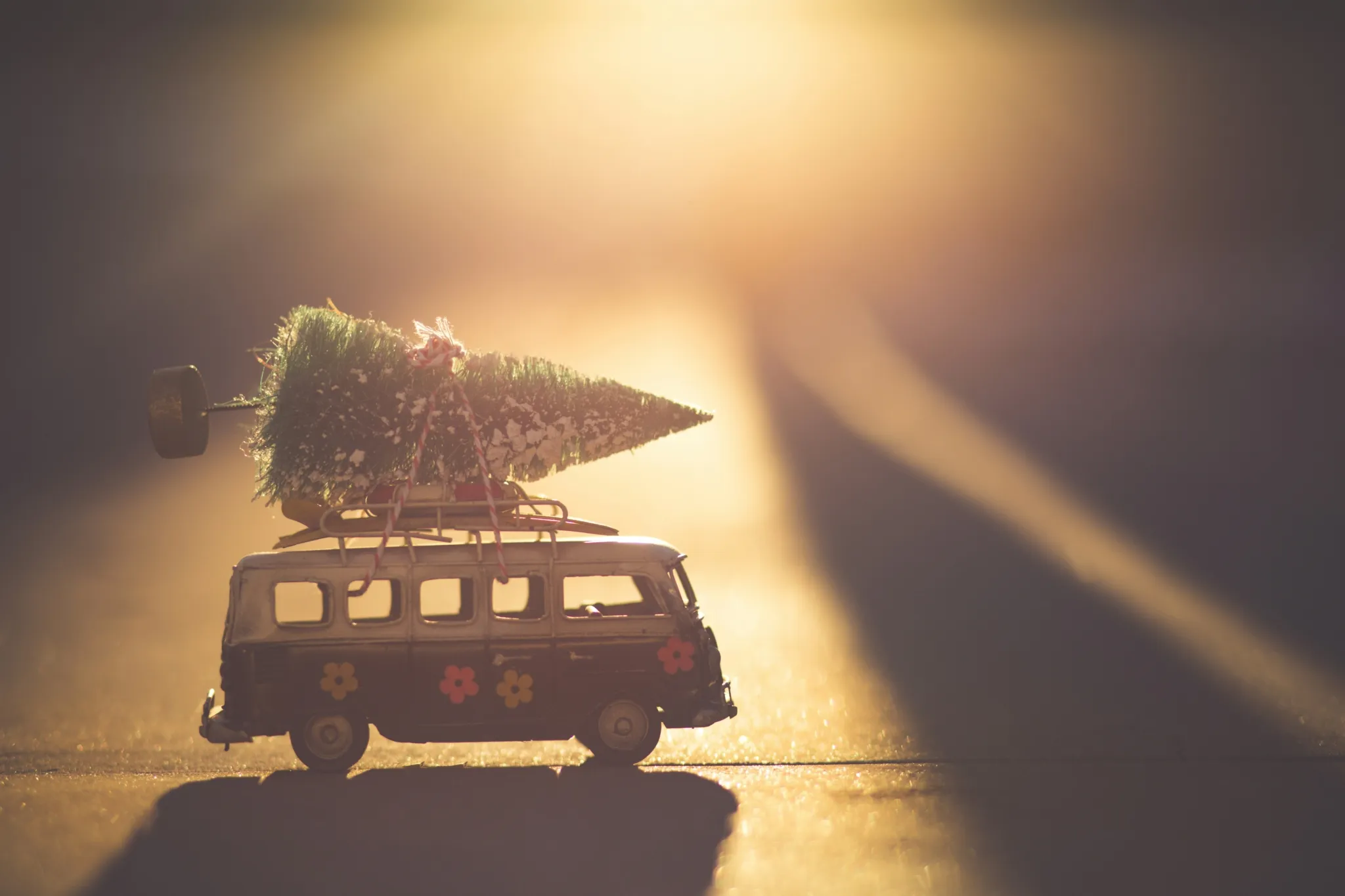 Buon Natale e Grazie mille Amici!