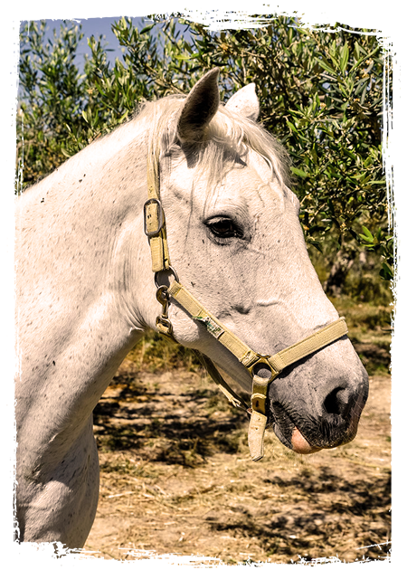 Sizilien Natur